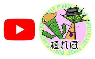 植れぽYouTube