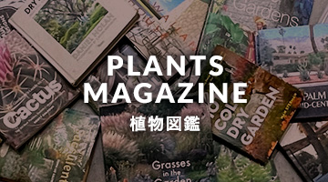 PLANTS MAGAZINE/植物図鑑