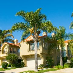 660118157b166f9b31f94d5ac0e362