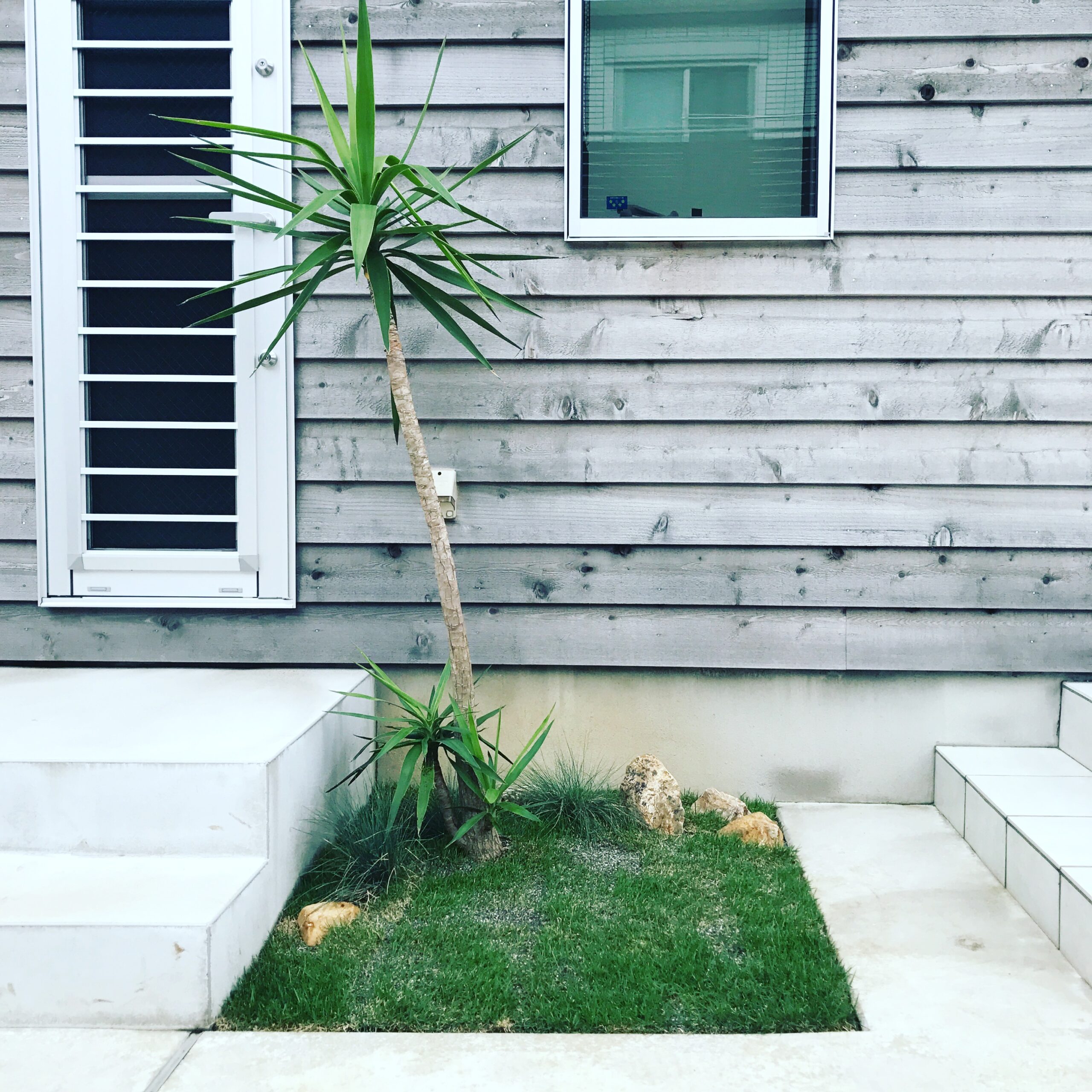 rady トロピカルフラワー カーテン 100×178 【公式通販】