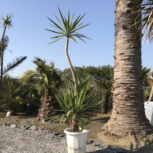 EA736EBF-F195-4B8D-8A64-