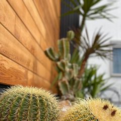 CALIFORNIA DESERT GARDEN IN CHIBA-SAKURA | OCEANSIDE GARDEN INC.