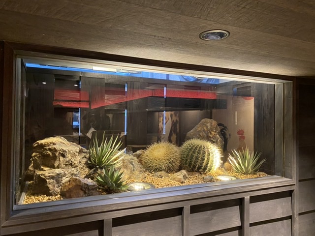 7644D756-9DC3-4CF4-9AE4-