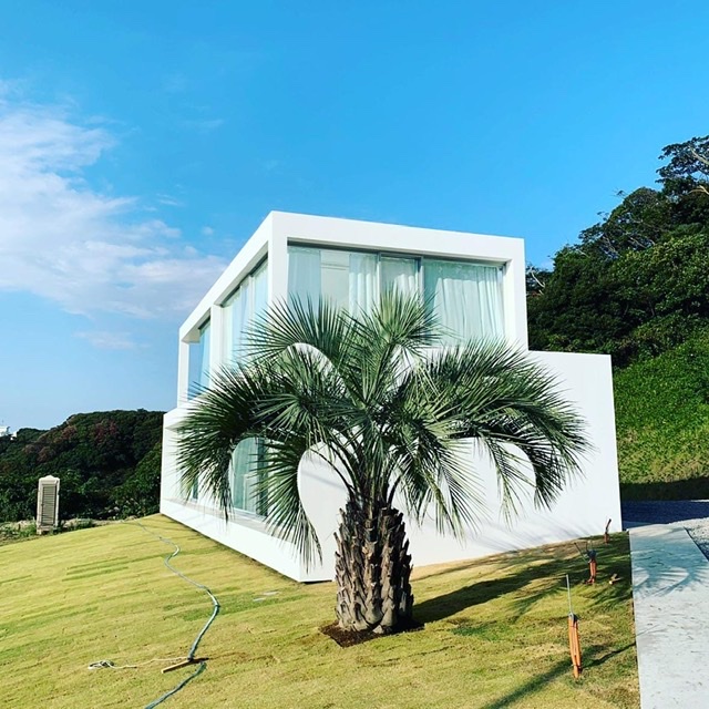 ココスヤシ IN KANAGAWA-YOKOSUKA | DESERT INC.
