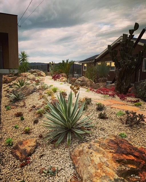 HOT COLOR DRY GARDEN IN CHIBA | DESERT INC.