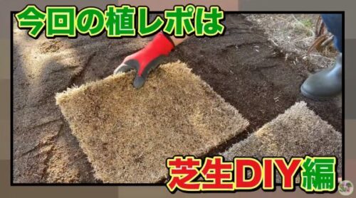 さぁ 芝生を敷こう Oceanside Garden Inc