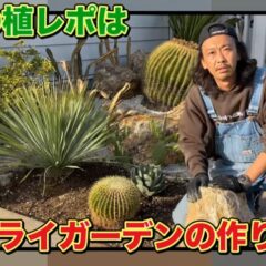 サボテン Oceanside Garden Inc